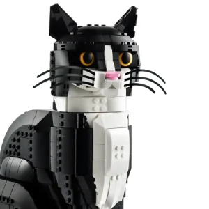 Midnight Black Whiskers Rounded